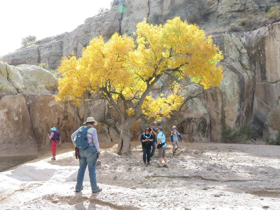 Cottonwood Wash